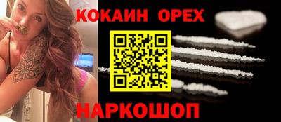 стафф Гай