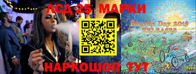стафф Гай