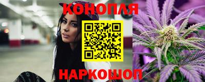 jwh Гатчина