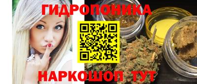 jwh Гатчина