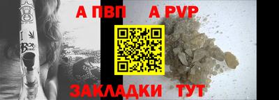 стафф Гай