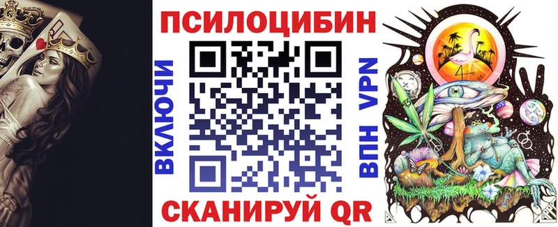 дарнет шоп Ессентуки Псилоцибиновые грибы Cubensis