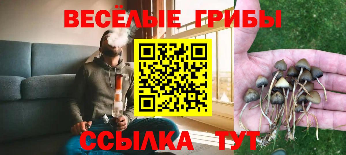 Галлюциногенные грибы MAGIC MUSHROOMS  Вход с VPN  Псилоцибиновые грибы Psilocybine cubensis  Ессентуки 