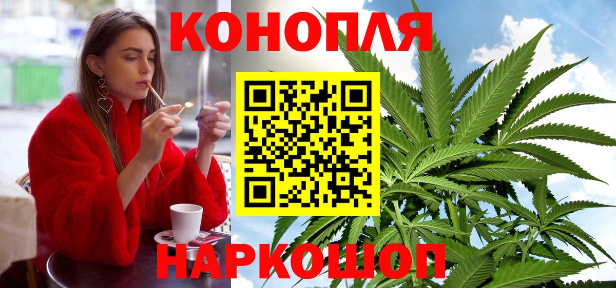 Марихуана конопля Ессентуки
